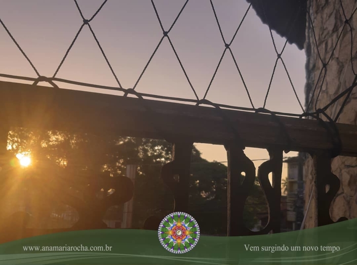 66248732_3017066941667281_4371944178075041792_o